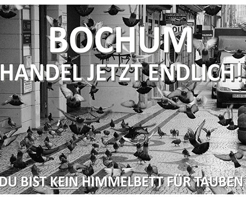 Am 23.12.23 wird in Bochum eine Demonstration stattfinden. Das Motto lautet: Respekt für Tauben.