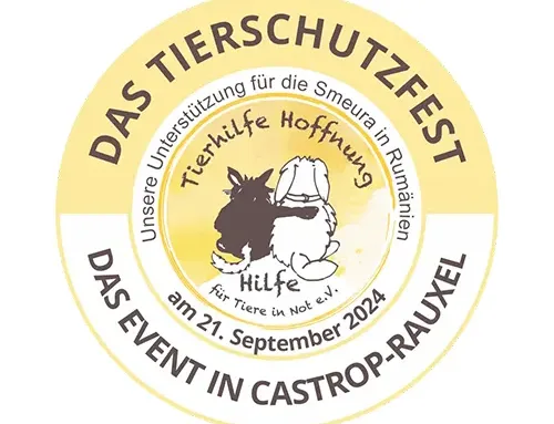 Das Tierschutzfest 2024